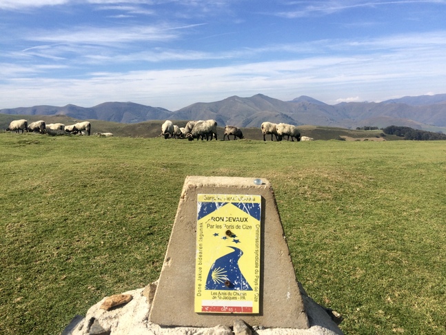 Top of Pyrennes, French Way