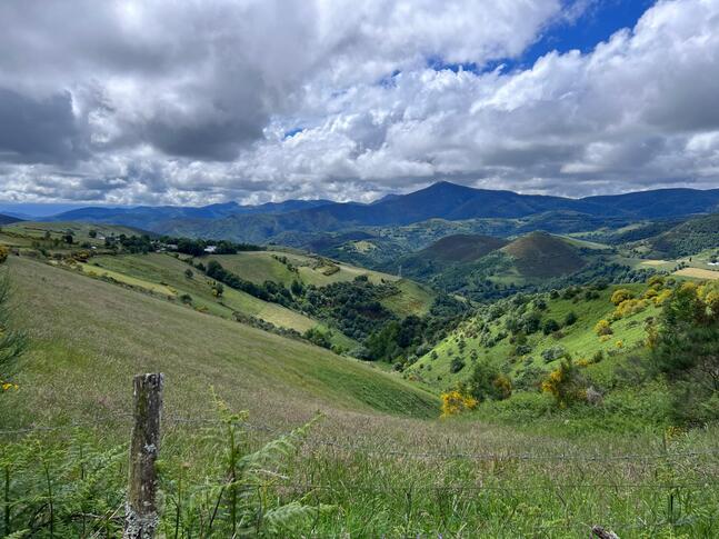 French Way (Leon - Sarria)